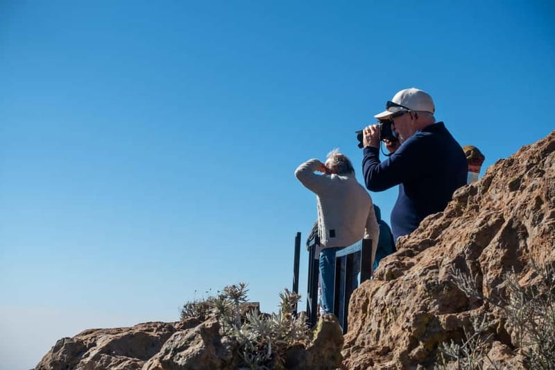Gran Canaria: Island Highlights Tour with Optional Lunch - Why This Gran Canaria Highlights Loop Feels Efficient