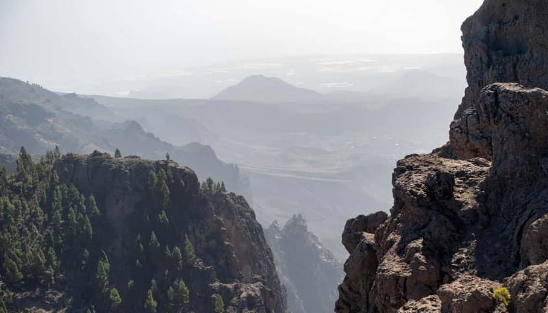 Gran Canaria: Island Highlights Tour with Optional Lunch - Aloe Vera Finca Canarias: Where the Tour Adds Meaning