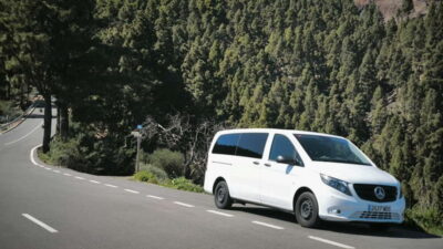 Gran Canaria: Island Highlights Tour with Optional Lunch - The Pickup From Maspalomas and How the Day Flows