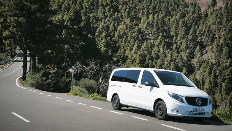 Gran Canaria: Island Highlights Tour with Optional Lunch - The Pickup From Maspalomas and How the Day Flows