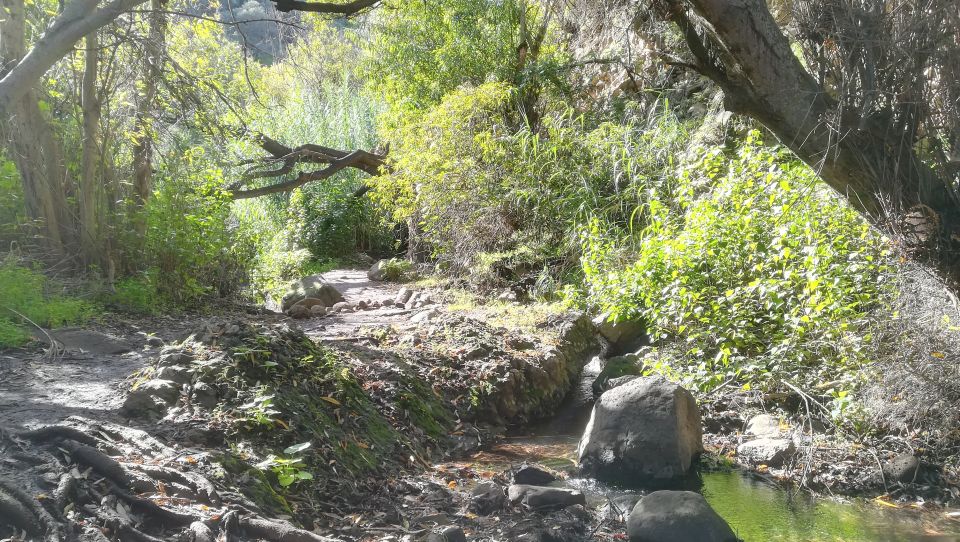 Gran Canaria: "Magic Waterfalls" Hiking Tour - Key highlights worth your time