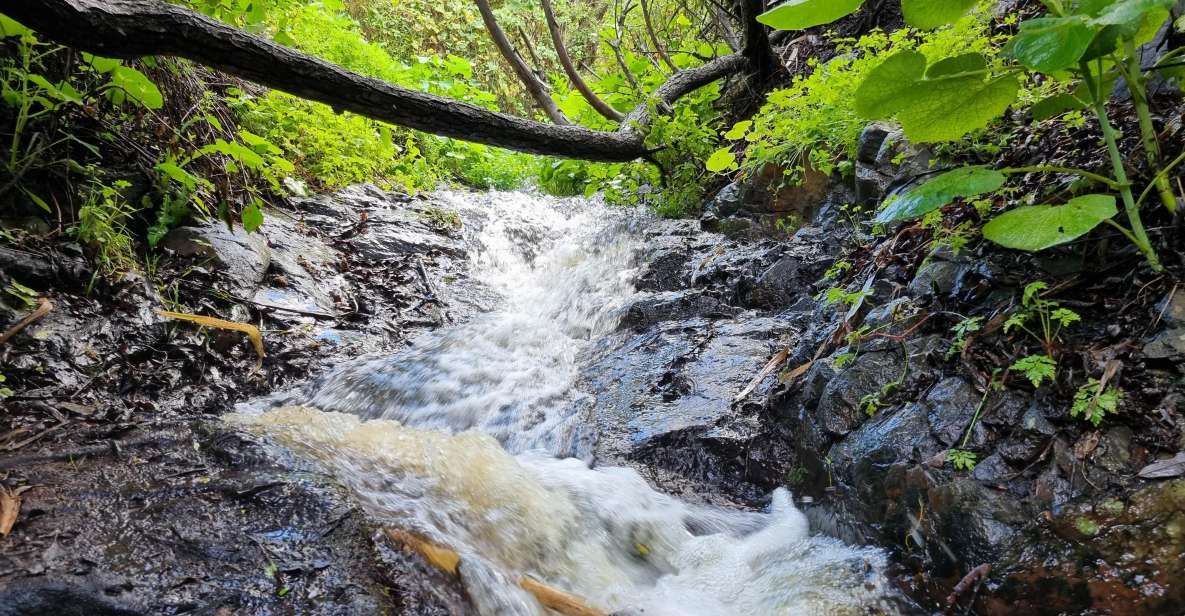 Gran Canaria: "Magic Waterfalls" Hiking Tour - Why This Gran Canaria Waterfall Hike Feels Like a Real Island Day