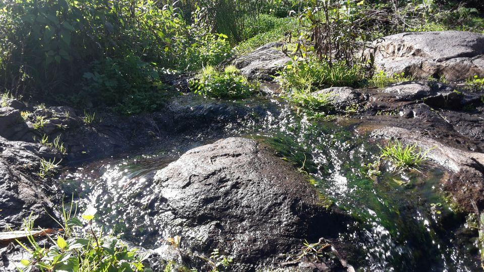 Gran Canaria: "Magic Waterfalls" Hiking Tour - Your Guide and the Small-Group Advantage (Safety Plus Local Detail)
