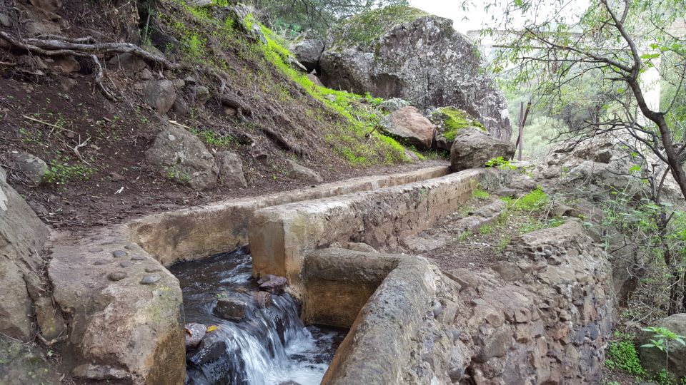 Gran Canaria: "Magic Waterfalls" Hiking Tour - The Waterfall Country: How Gran Canaria’s Microclimate Changes the Whole Hike