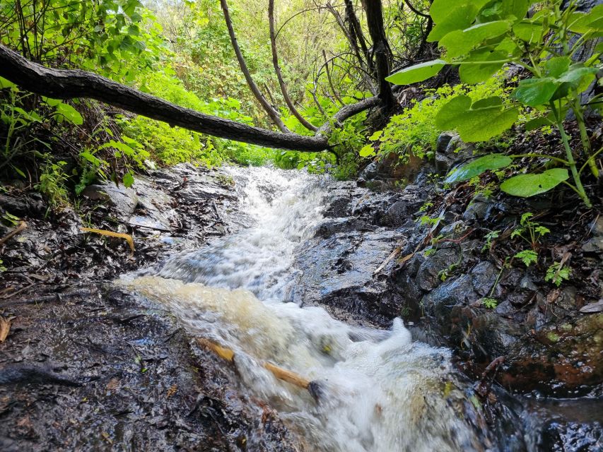 Gran Canaria: "Magic Waterfalls" Hiking Tour - Price and Value: Is $74 a Good Deal for This Tour?