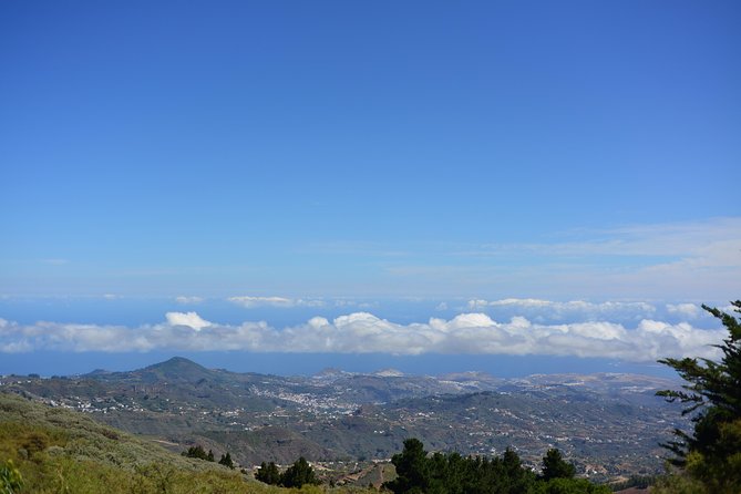 Gran Canaria Peaks Full-Day Tour from Las Palmas - From Las Palmas to the High Peaks: What This Day Trip Really Delivers