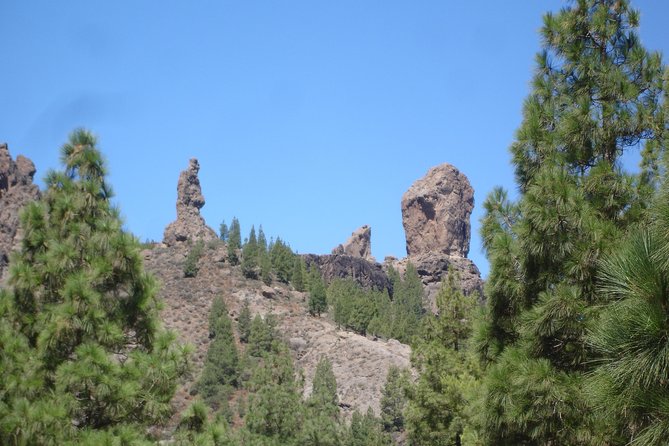 Gran Canaria Peaks Full-Day Tour from Las Palmas - Pickup in Las Palmas at 9:00: Where People Get Tripped Up