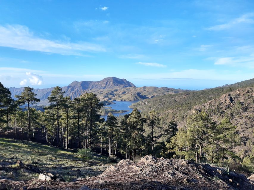 Gran Canaria: "Peaks of Gran Canaria" Hiking Tour - Pico de las Nieves, Roque Nublo, and the Teide-Spotting Odds