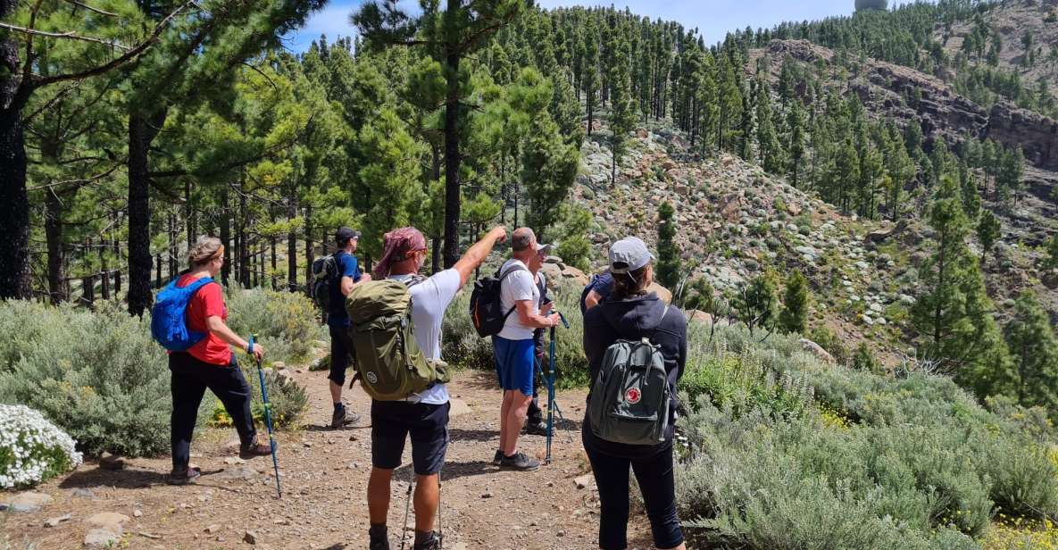Gran Canaria: "Peaks of Gran Canaria" Hiking Tour - Two Trail Options: 7 km vs 10 km and How Hard It Really Feels