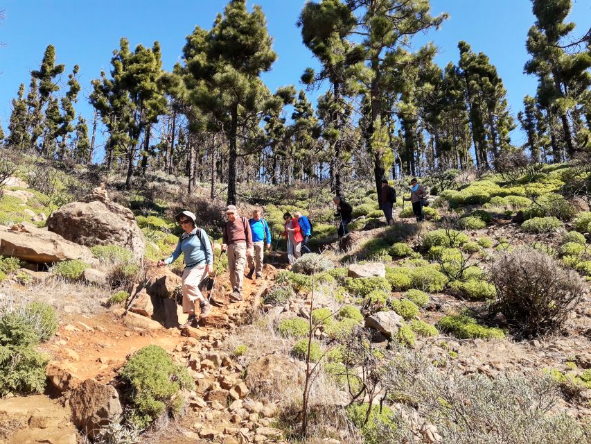 Gran Canaria: "Peaks of Gran Canaria" Hiking Tour - What You’ll See on the Trail: Rocks, Canary Pine, and Villages