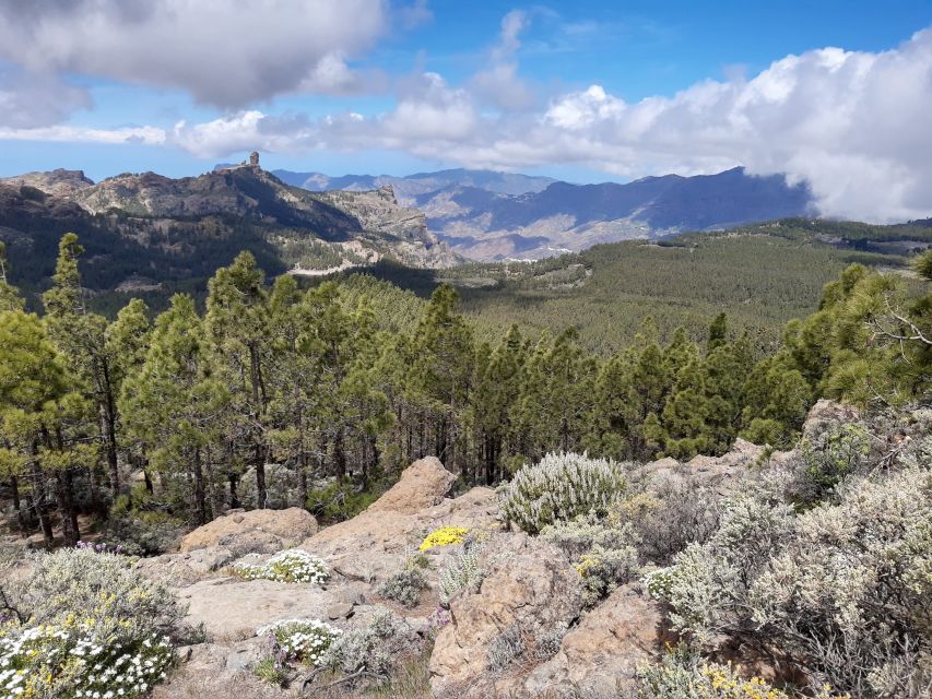 Gran Canaria: "Peaks of Gran Canaria" Hiking Tour - A Guide Who Actually Runs the Day: Maciej’s Style (and Why You’ll Feel It)