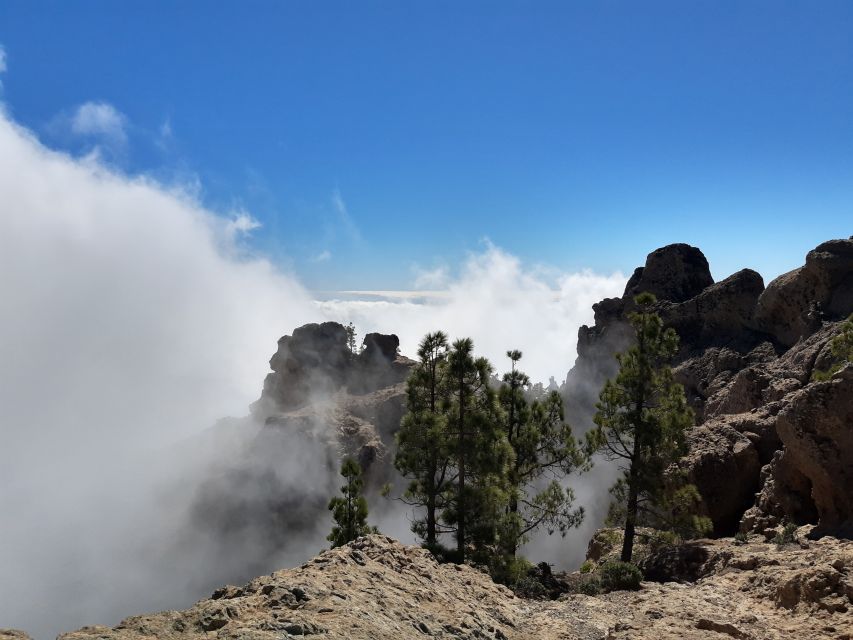 Gran Canaria: "Peaks of Gran Canaria" Hiking Tour - Who This Hike Fits Best (and Who Might Want a Different Option)