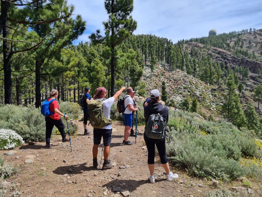 Gran Canaria: "Peaks of Gran Canaria" Hiking Tour - Pickup in the South: Where the Minibus Gets You Ready