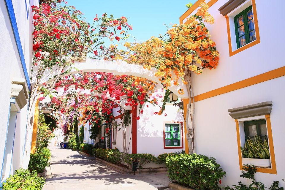 Gran Canaria: Puerto de Mogán Local Market Day Trip - Key highlights you’ll feel right away