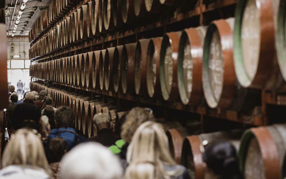 Gran Canaria: Rum, Wines and Banana Tour - The Banana Farm Stop: Learning the Produce Before You Taste It