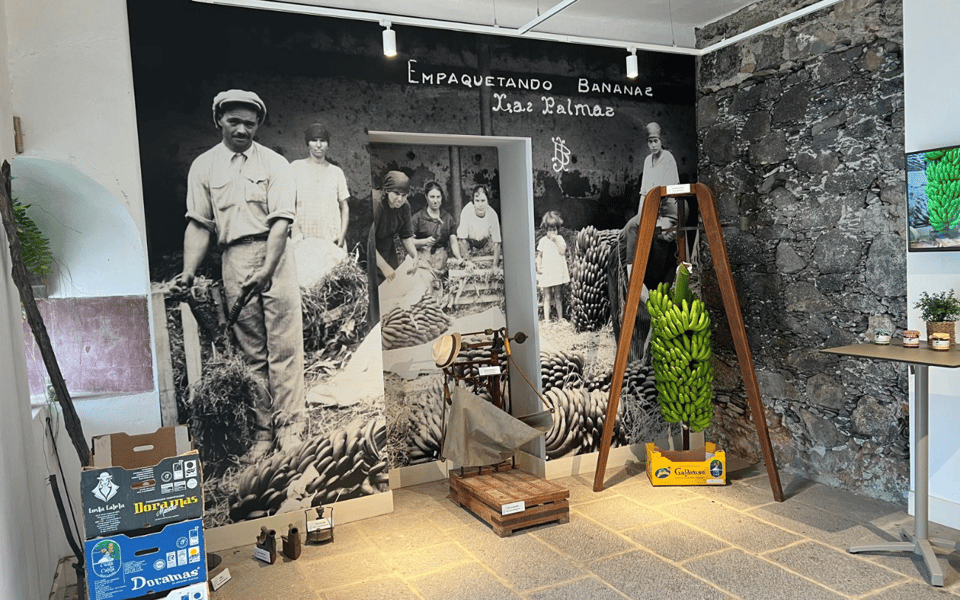 Gran Canaria: Rum, Wines and Banana Tour - Guide Quality Is Part of the Product