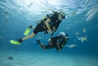 Gran Canaria: Scuba Diving for Beginners - What PADI Discover Scuba really means (and what it doesn’t)