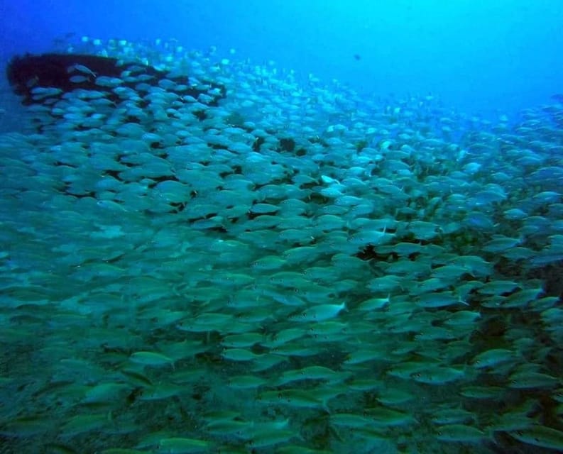 Gran Canaria: Scuba Diving for Beginners - Your supervised underwater session up to 12 meters