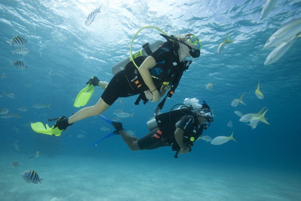 Gran Canaria: Scuba Diving for Beginners - What PADI Discover Scuba really means (and what it doesn’t)