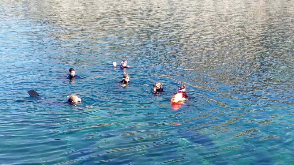 Gran Canaria: Snorkeling Trip - Quick take: what makes this snorkel trip work