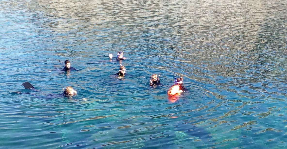Gran Canaria: Snorkeling Trip - Where it starts: Puerto Rico de Gran Canaria check-in and briefing