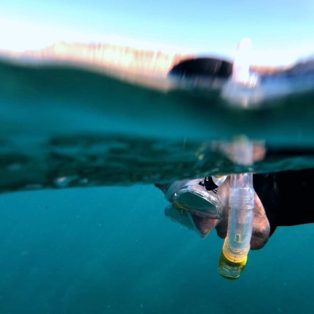 Gran Canaria: Snorkeling Trip - Your guided swim: how the guide helps you see more