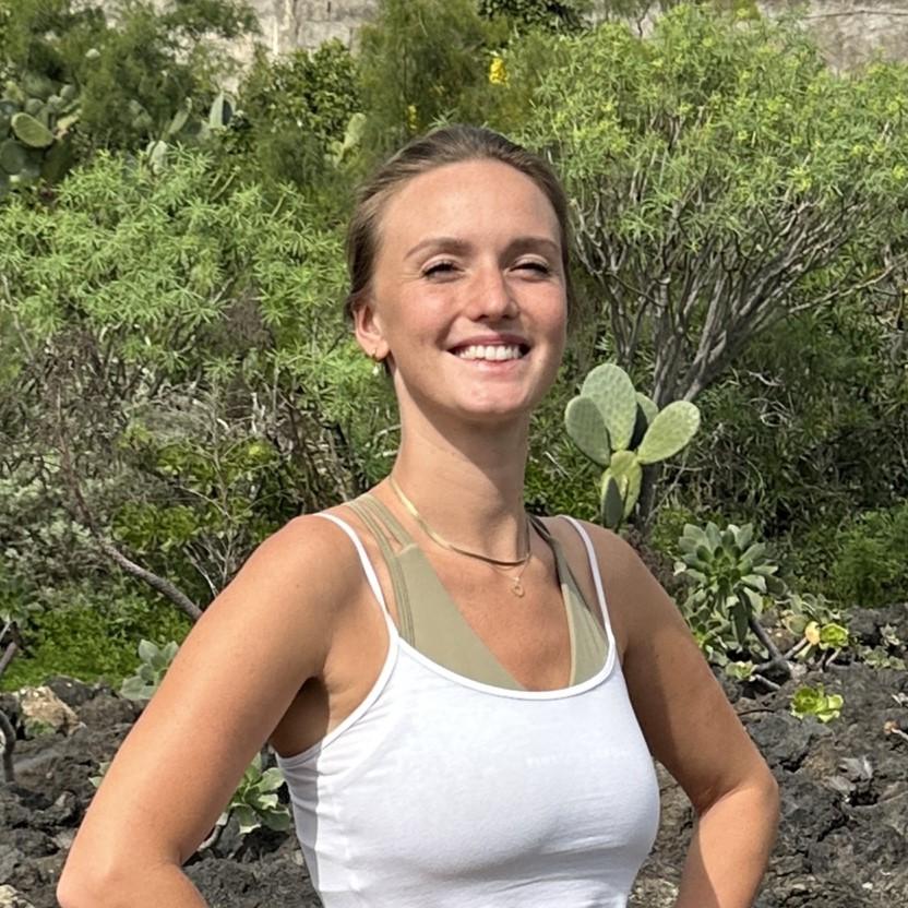 Gran Canaria: Volcano Sunset Tour and Local Food Tasting - Caldera de Bandama: panoramic views with real geology behind them