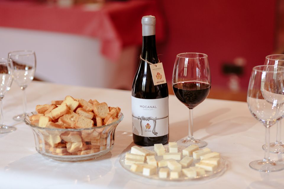 Gran Canaria: Winery Tour, Wine Museum, and Tasting - A small winery with big “how it’s made” energy