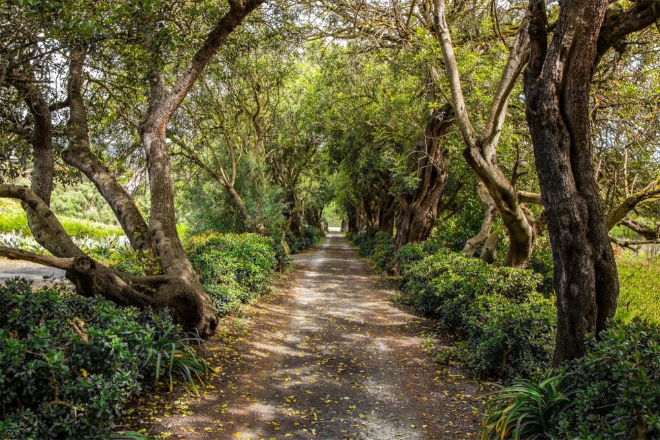 Gran Canaria: Winery Tour, Wine Museum, and Tasting - Price and value: why $34 feels fair here