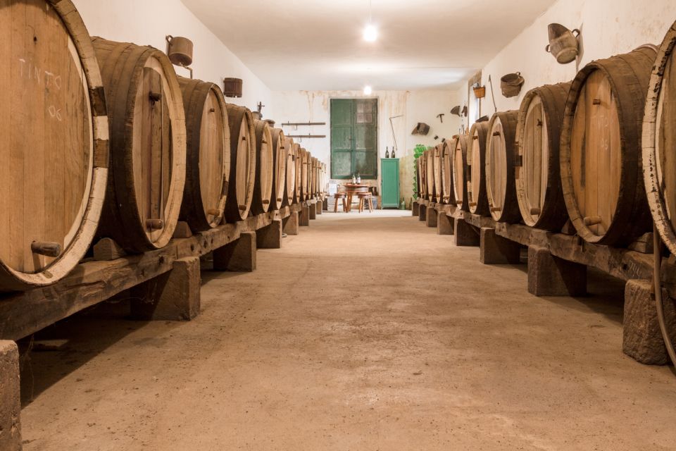 Gran Canaria: Winery Tour, Wine Museum, and Tasting - The wine museum: old machinery and how process changes