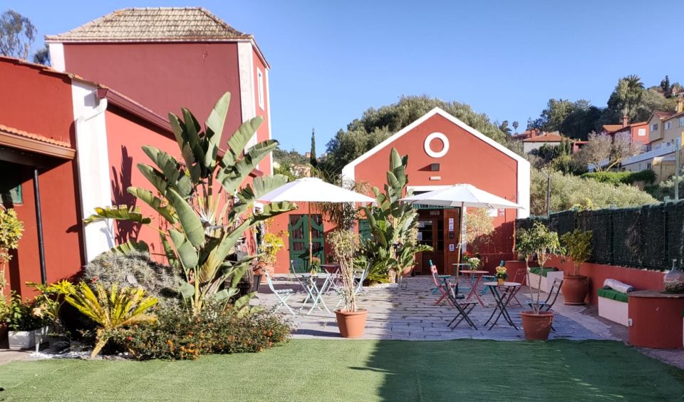 Gran Canaria: Winery Tour, Wine Museum, and Tasting - Modern facilities vs. the past: what you’re really comparing