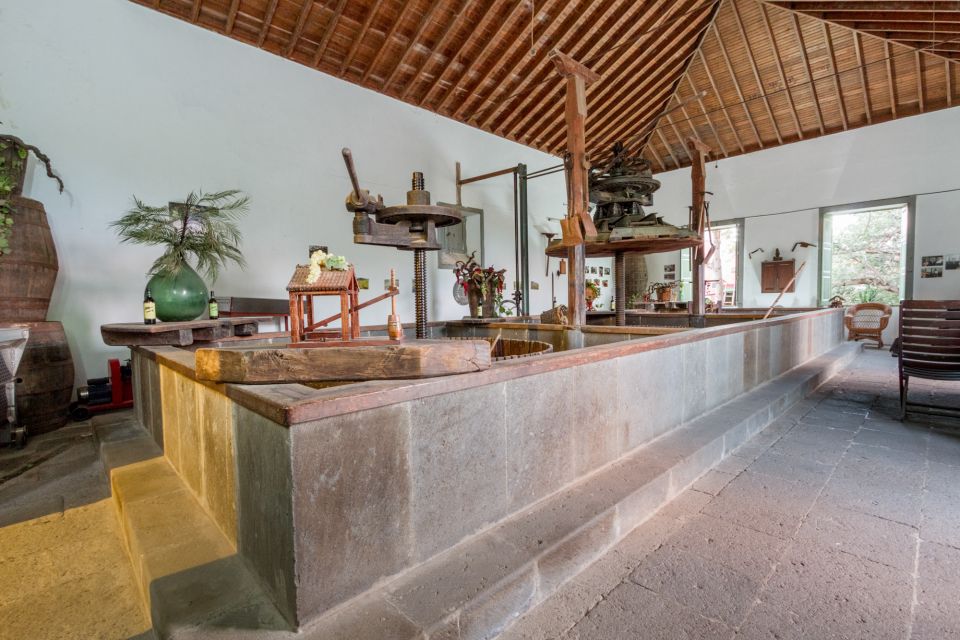 Gran Canaria: Winery Tour, Wine Museum, and Tasting - The tasting: two wines, local cheese, and toasted bread