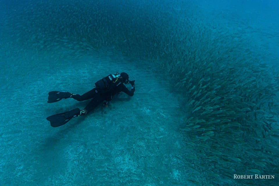Gran Canaria:Live an Adventure and Learn to Dive with Expert - Who This Works For (and Who Should Skip It)