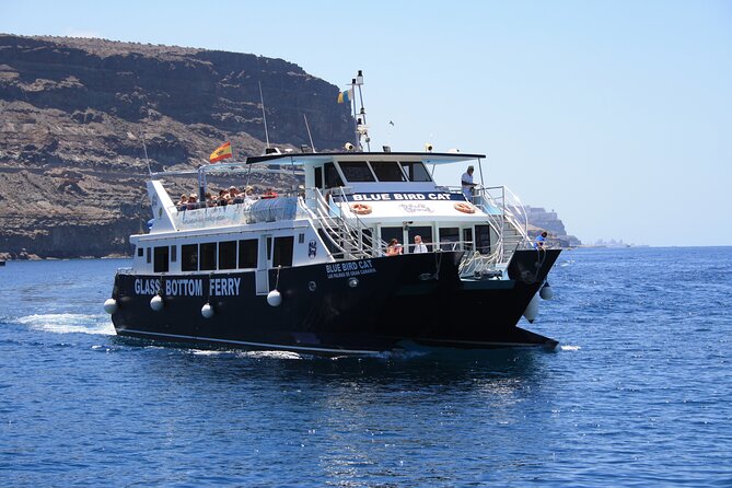 Half-Day Cruise Tour-Dolphin and Whale Watching - Boat Comfort and Crew Style: Safe Viewing Without the Chaos