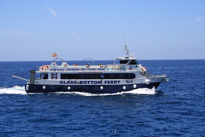 Half-Day Cruise Tour-Dolphin and Whale Watching - Price and Value: Does $44.65 Mean a Real Experience?