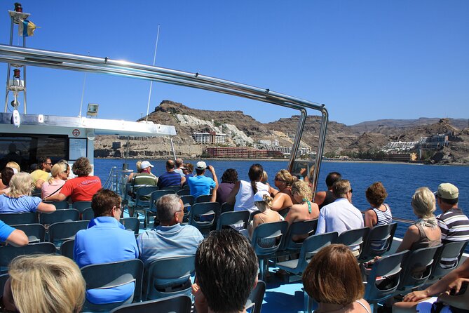 Half-Day Cruise Tour-Dolphin and Whale Watching - Practical Tips That Can Improve Your Chances