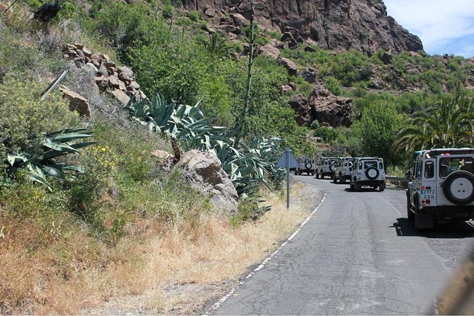 Jeep Tour 4x4 in Gran Canaria - Fataga: The 1,000 Palm Trees Ravine and Village Time