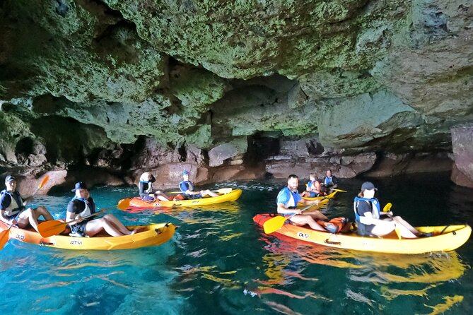 Kayaking Adventure Route with Snorkeling in Mogan Caves - Price vs Value: Why $62.91 Can Make Sense Here