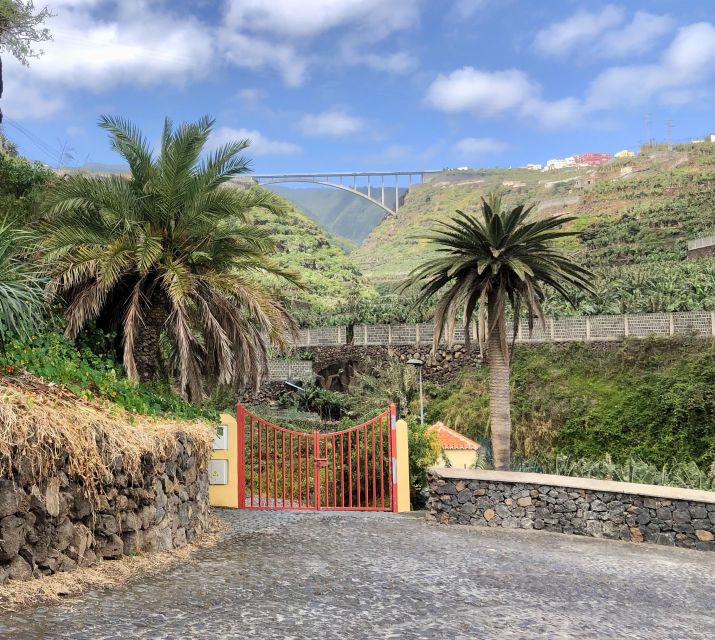 La Palma: North Island Bus Tour with Ron Aldea Distillery - North La Palma’s Microclimates: Why This Part of the Island Feels Different