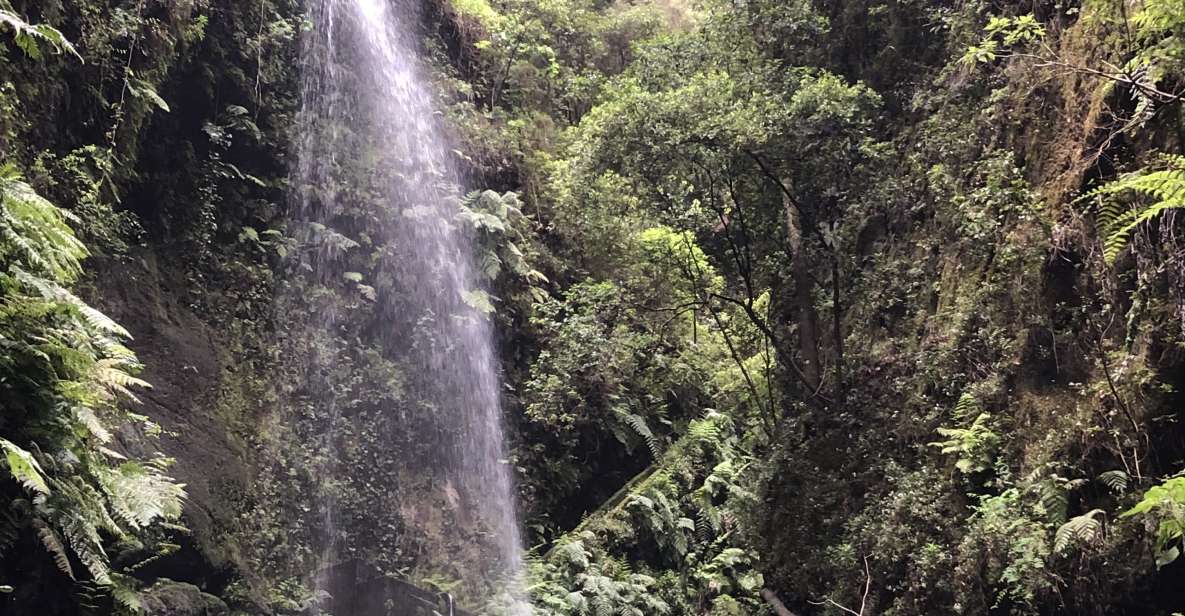 La Palma: North Island Bus Tour with Ron Aldea Distillery - Pickup, Start Times, and How the 8-Hour Clock Really Works
