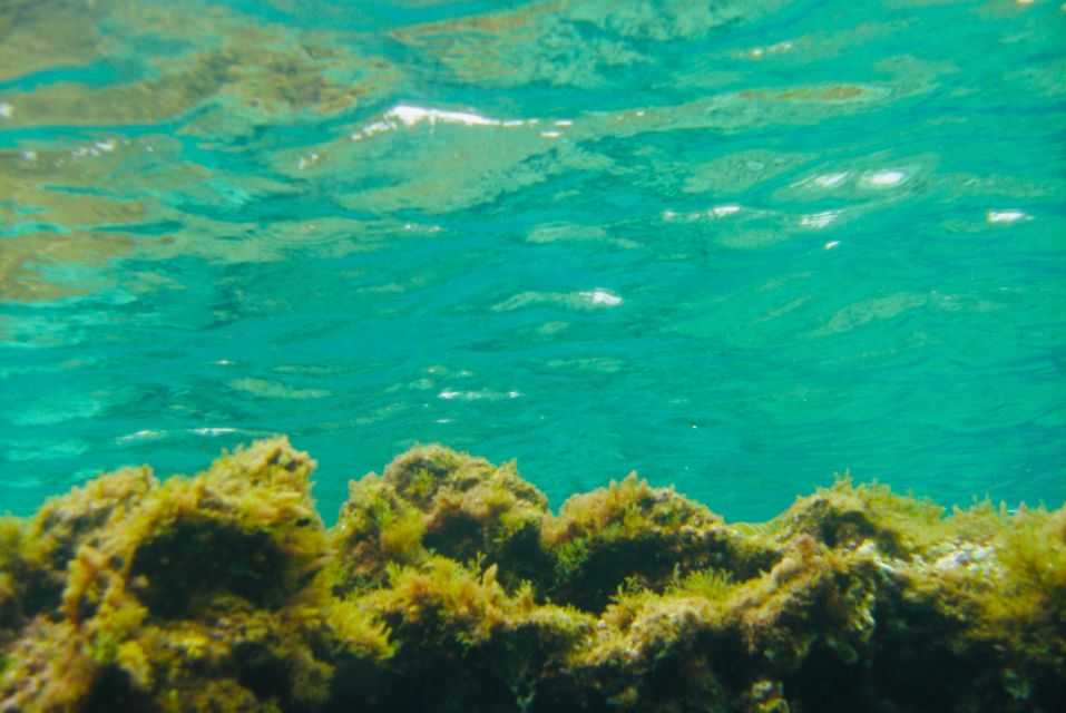 Las Canteras Scuba Diving - The 3-Hour Plan: From Meeting Point to Underwater Time