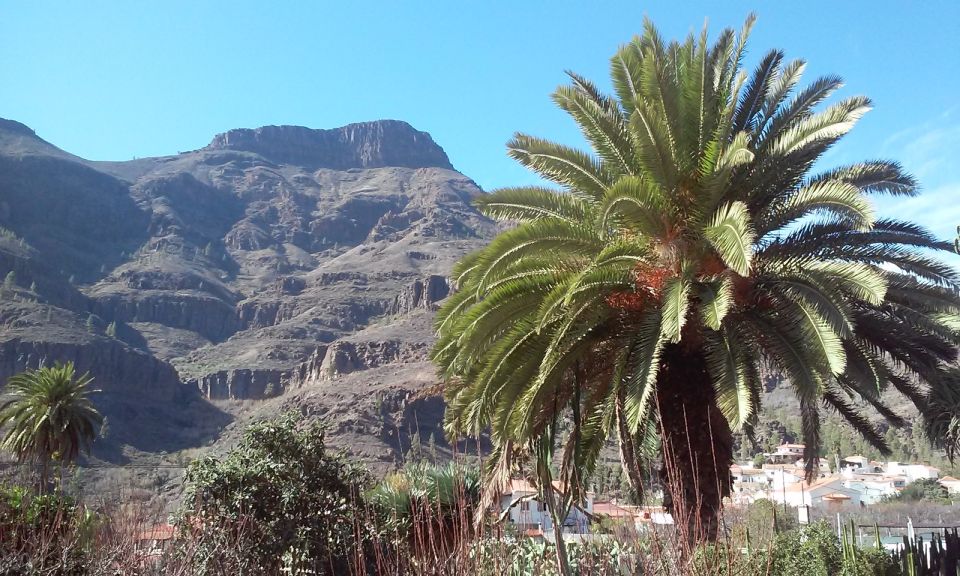 Las Palmas: 8-Hour Gran Canaria Island Highlights Tour - Crossing Gran Canaria North to South Without a Car Headache