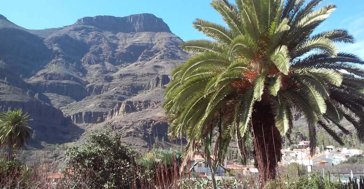 Las Palmas: 8-Hour Gran Canaria Island Highlights Tour - Santa Brígida: A Historic Centre Stop That Slows the Day Down