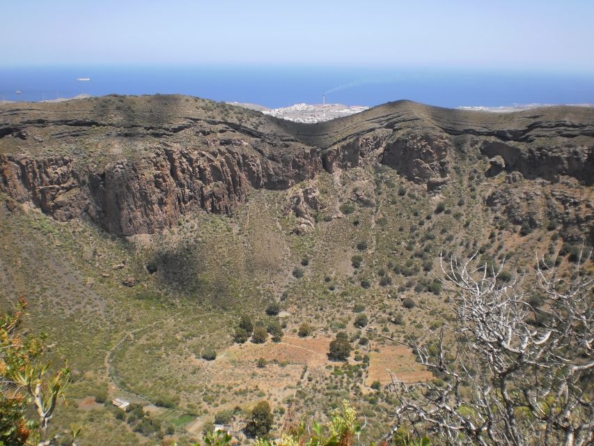 Las Palmas: 8-Hour Gran Canaria Island Highlights Tour - Fataga Lunch at a Traditional Taverna: Nice Break, Extra Cost