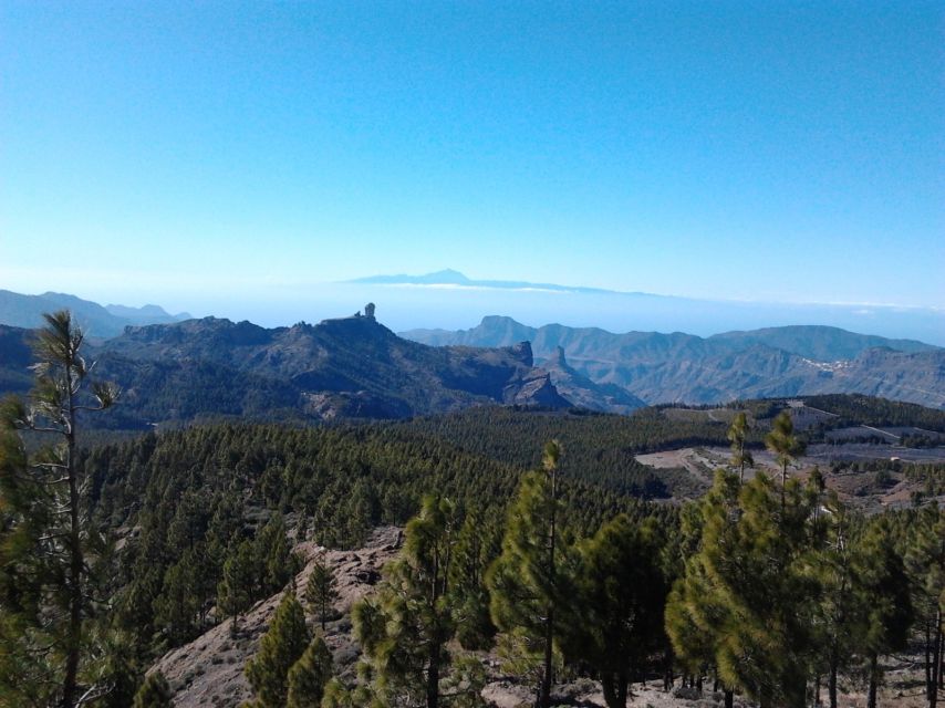 Las Palmas: 8-Hour Gran Canaria Island Highlights Tour - Maspalomas Sand Dunes: 45 Minutes of Free Time to Do It Your Way