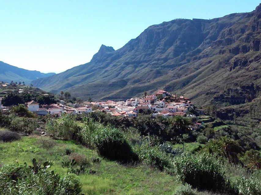 Las Palmas: 8-Hour Gran Canaria Island Highlights Tour - Price and Value: What $54 Really Buys You