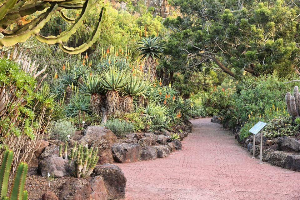 Las Palmas, Botanical Gardens and Bandama Volcano Tour - Price check: what you’re paying $37 for