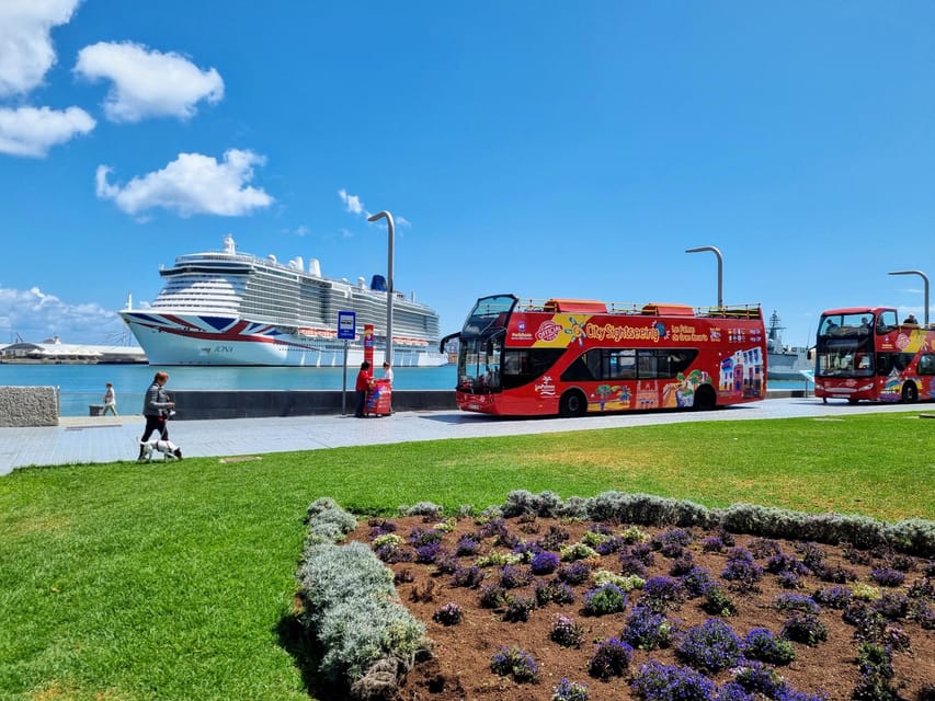 Las Palmas: City Sightseeing Hop-On Hop-Off Bus Tour - Museum-heavy 48-hour plans: Cathedral Tower and Castillo de la Luz