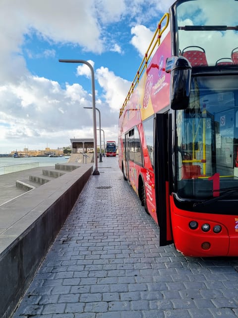 Las Palmas: City Sightseeing Hop-On Hop-Off Bus Tour - The boat tour and Museo Elder: good add-ons if you like mixing views