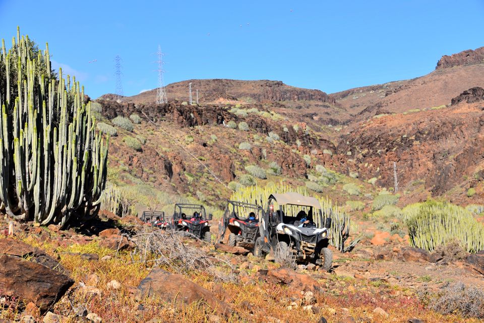 Las Palmas: Gran Canaria Guided Buggy Tour - Key Things to Know Before You Go